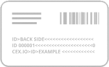 Example